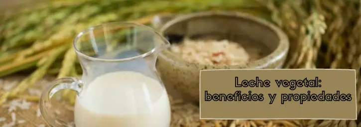 Leche vegetal: beneficios y propiedades